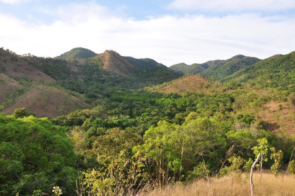 Busuanga Island Paradise Exteriör bild
